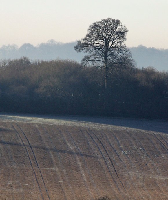 Looking East from Inn Lane