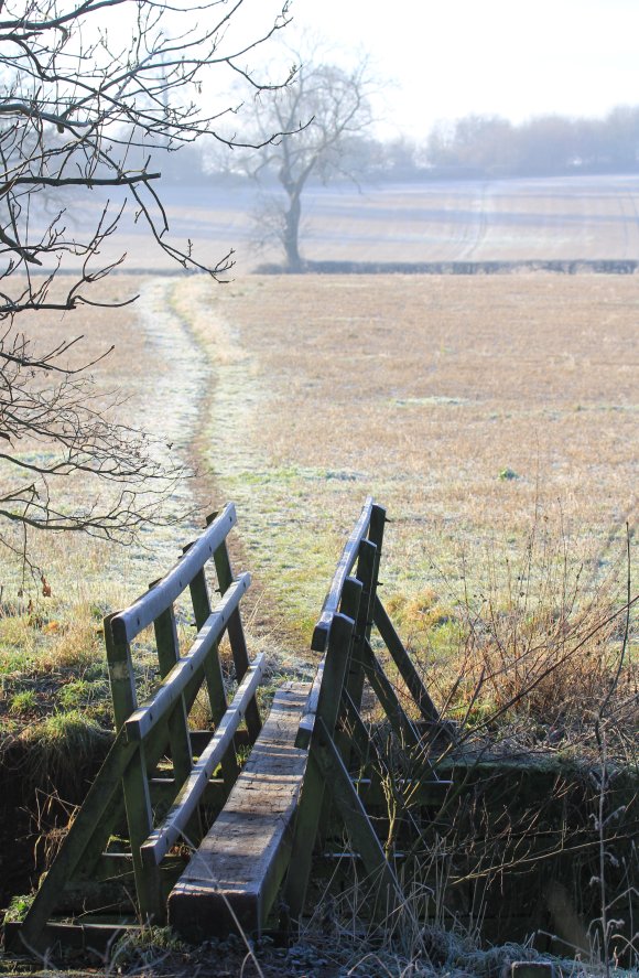 Footbridge at SE end of Footpath 23 heading towards Vicarwood