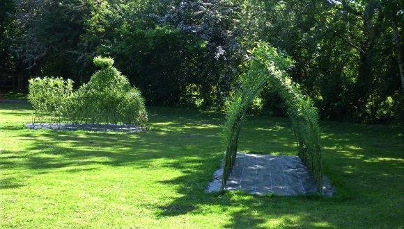 Willow tunnel at Barn Close