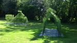 Image: Willow tunnel at Barn Close