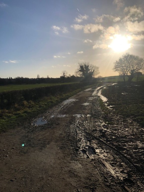 Bridleways reflecting sun in puddles