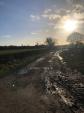 Image: Bridleways reflecting sun in puddles