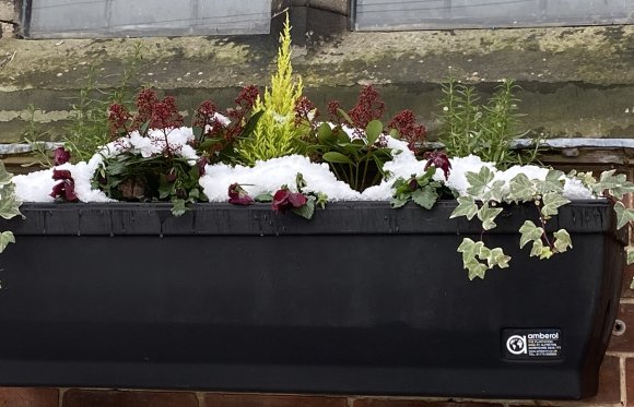 Snow covered Village Hall window box