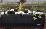 Image: Snow covered Village Hall window box