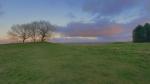 Image: Trees on Bunkers Hill under a dramatic sky