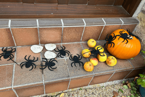 Pumpkins and spiders